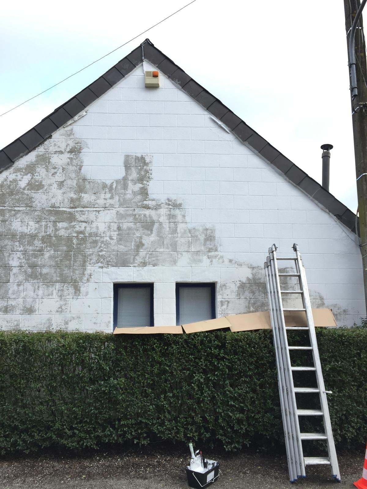 Nettoyage et peinture de facade - Photo 2