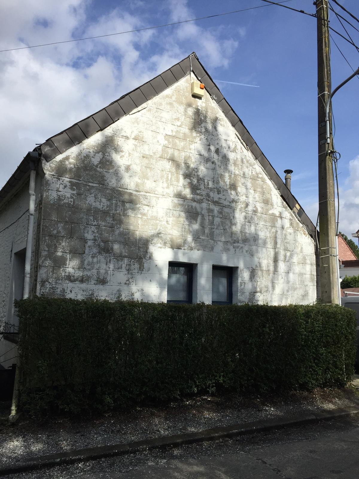 Nettoyage et peinture de facade